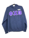 Clearance - ΦΧΘ Hoodie