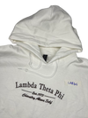 Clearance - ΛΘΦ Hoodie