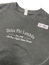 Clearance - ΔΦΛ Crewneck