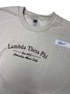 Clearance - ΛΘΦ Crewneck