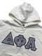 Clearance - ΔΦΛ Hoodie