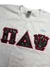 Clearance - ΠΔΨ Crewneck
