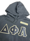 Clearance - ΔΦΛ Hoodie
