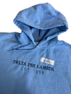 Clearance - ΔΦΛ Hoodie