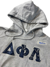 Clearance - ΔΦΛ Hoodie