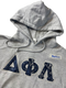 Clearance - ΔΦΛ Hoodie