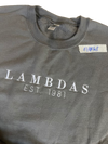 Clearance - ΛΦE Crewneck
