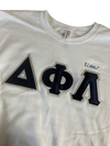 Clearance - ΔΦΛ Crewneck
